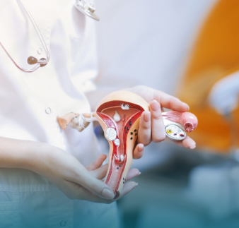 Gynaecology_img